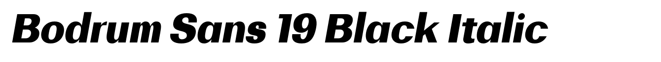 Bodrum Sans 19 Black Italic